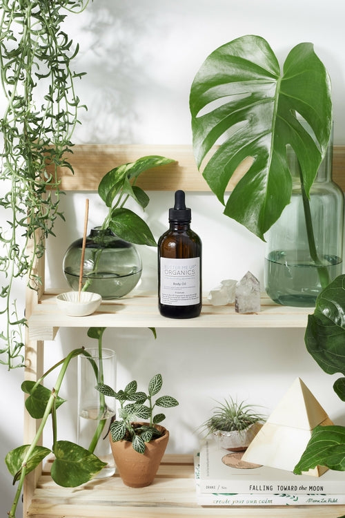 Butter Me Up Organic Body Oil