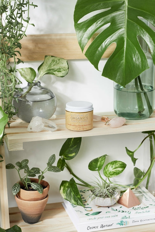 Butter Me Up Sea Buckthorn Facial Moisturizer