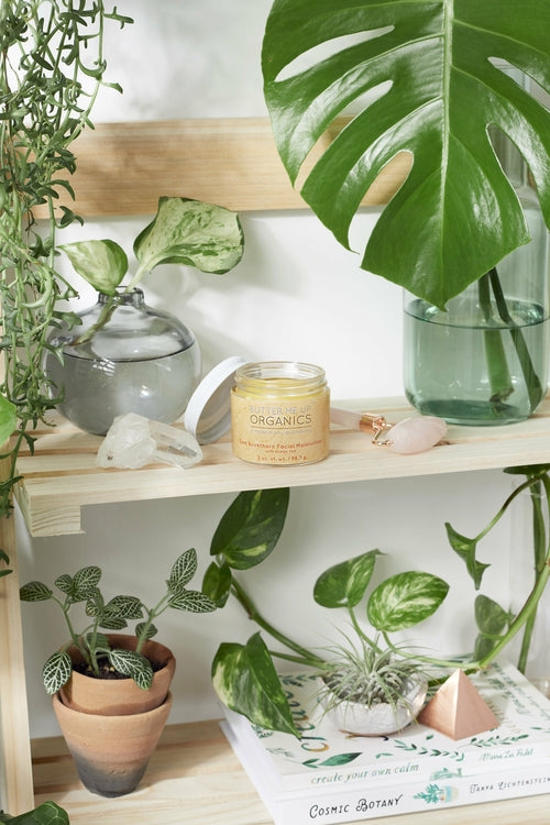 Butter Me Up Sea Buckthorn Facial Moisturizer