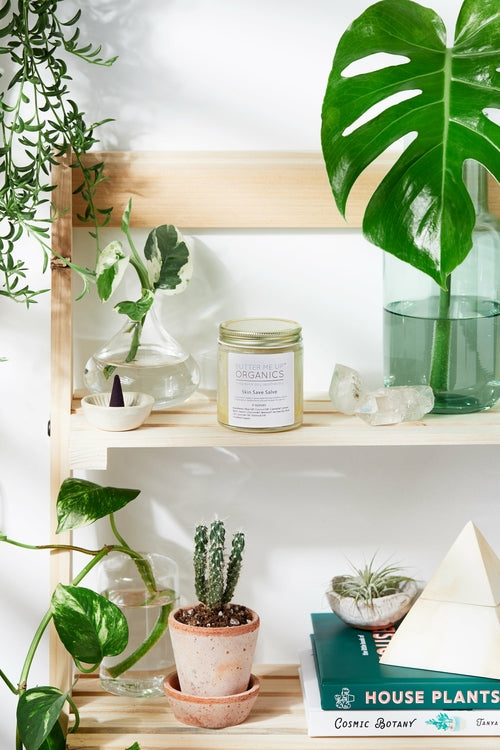 Butter Me Up Skin Save Salve