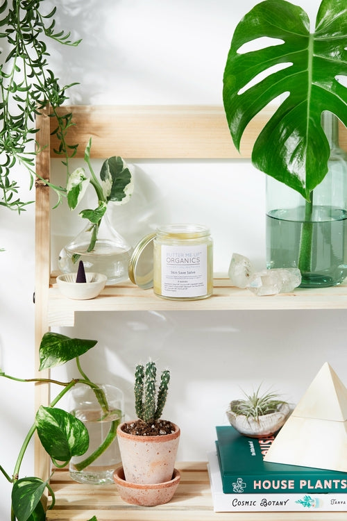 Butter Me Up Skin Save Salve